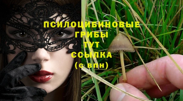 сатива Нефтекумск