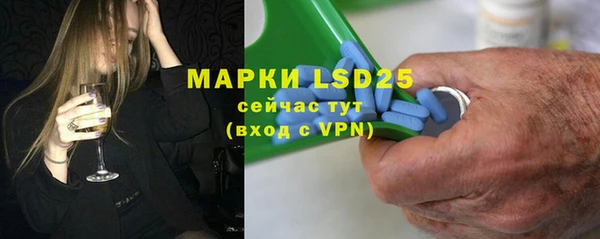 сатива Нефтекумск