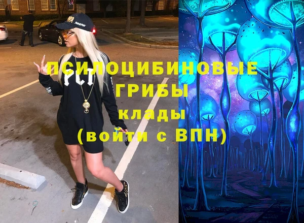 шишки Усмань
