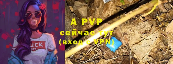 сатива Нефтекумск