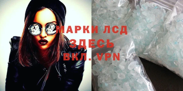 сатива Нефтекумск