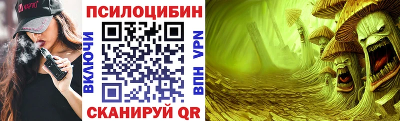 закладка  Омск  Галлюциногенные грибы Psilocybine cubensis 