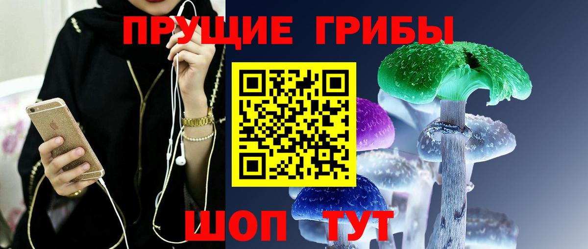 Омск  где купить наркотик  Псилоцибиновые грибы мицелий  Вход с VPN  Псилоцибиновые грибы ЛСД 